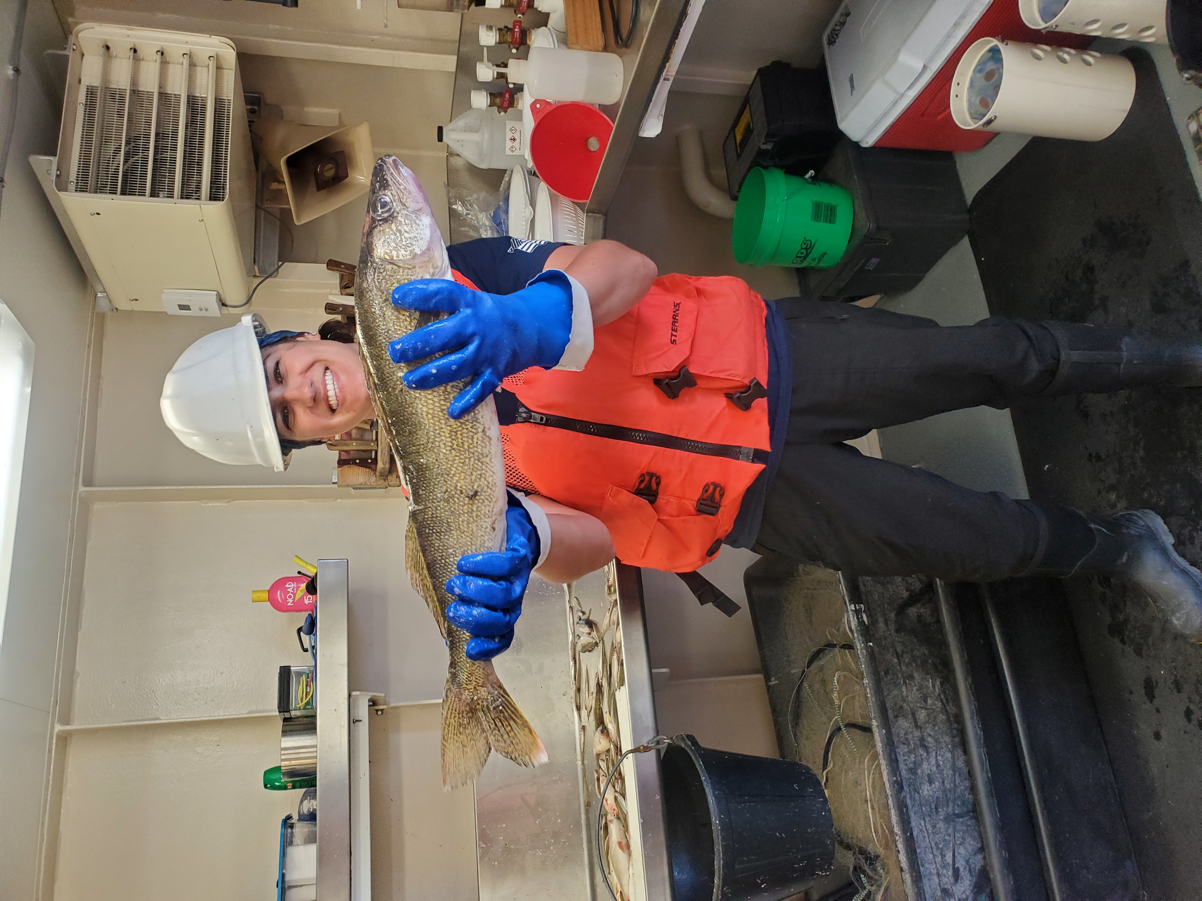 Researcher wearing an orange vest and white hard hat holding a large walley